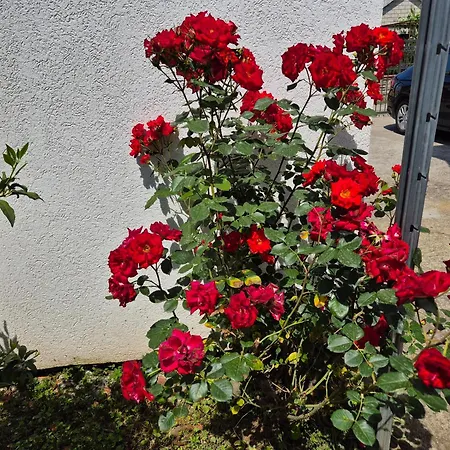 Peaceful 2br With Ultra-fast Wifi Daire