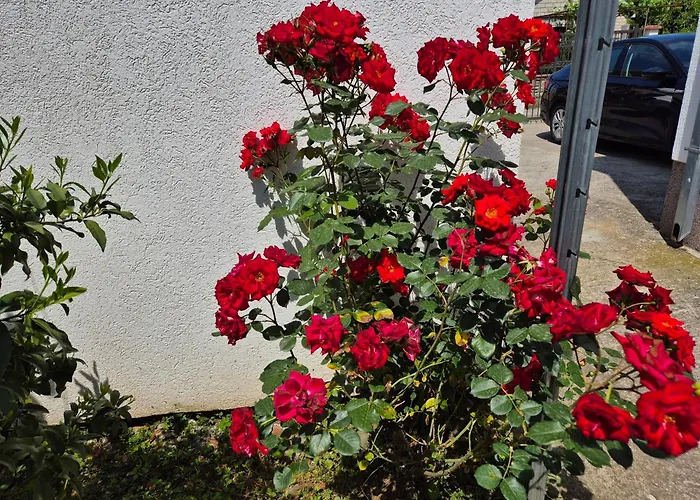 Peaceful 2br With Ultra-fast Wifi Daire