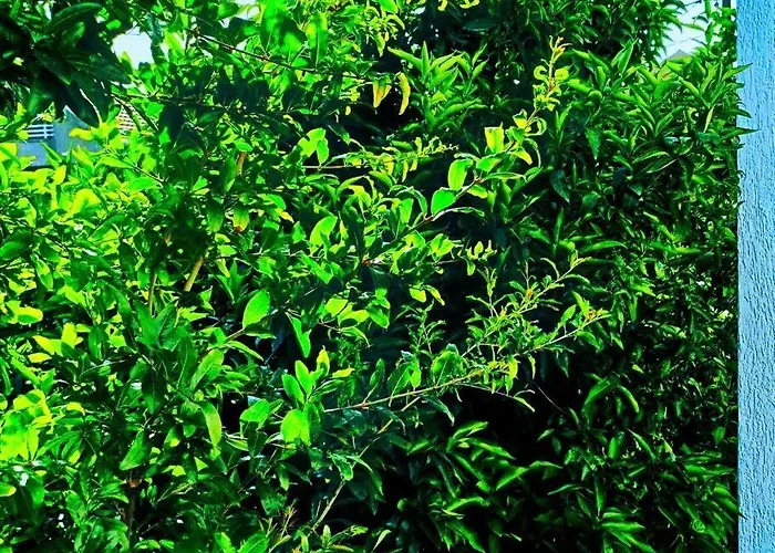 Peaceful 2br With Ultra-fast Wifi * Podgorica